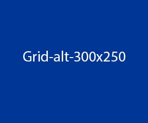 Grid Alt 300x250