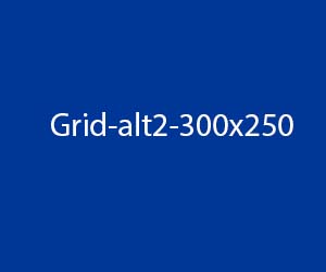 Grid Archive Alt2 300x250