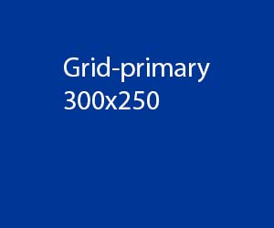 Grid Characters Primary 300x250